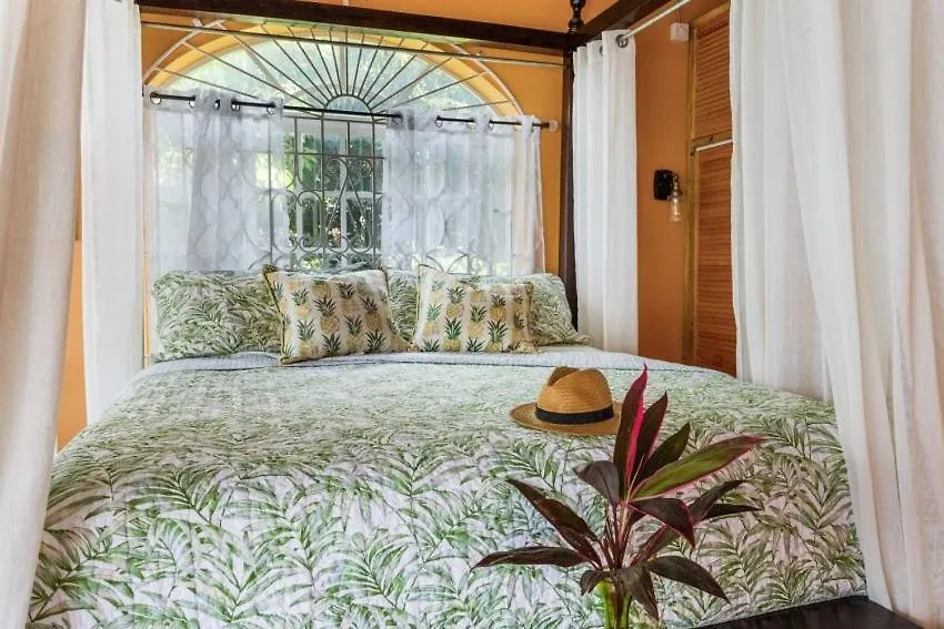 Yanceylargo Estate - Newly Renovated 7Br Beautiful Two-Story W Gorgeous Mountain View Villa Montego Bay