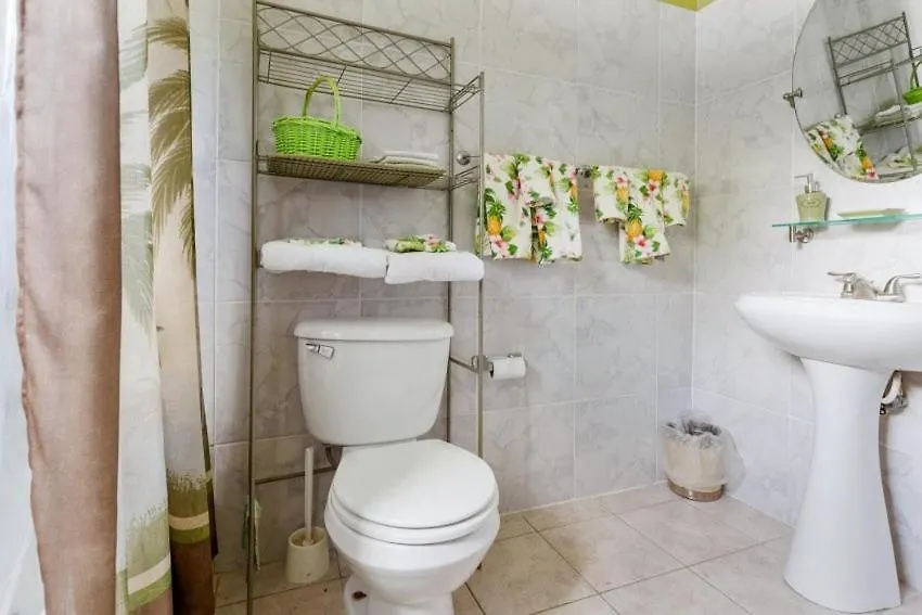 Yanceylargo Estate - Newly Renovated 7Br Beautiful Two-Story W Gorgeous Mountain View Villa Montego Bay 0*,