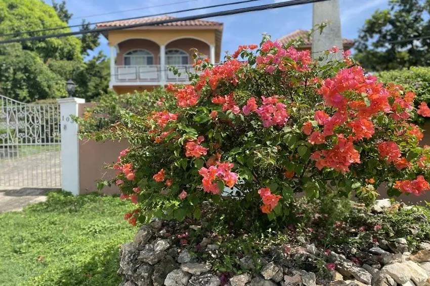 Yanceylargo Estate - Newly Renovated 7Br Beautiful Two-Story W Gorgeous Mountain View Villa Montego Bay Jamaica