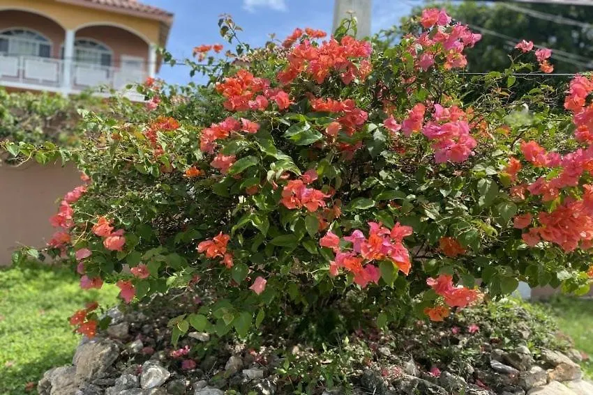 Yanceylargo Estate - Newly Renovated 7Br Beautiful Two-Story W Gorgeous Mountain View Villa Montego Bay