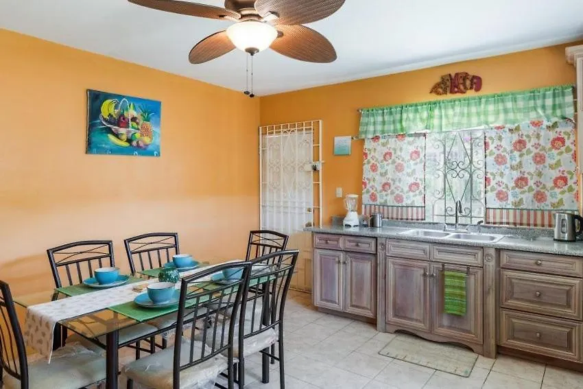 Yanceylargo Estate - Newly Renovated 7Br Beautiful Two-Story W Gorgeous Mountain View Villa Montego Bay