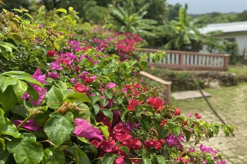 Yanceylargo Estate - Newly Renovated 7Br Beautiful Two-Story W Gorgeous Mountain View Villa Montego Bay