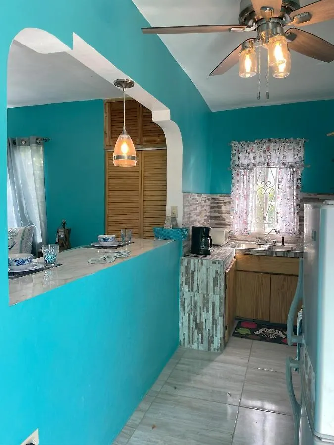 Yanceylargo Estate - Newly Renovated 7Br Beautiful Two-Story W Gorgeous Mountain View Villa Montego Bay Jamaica