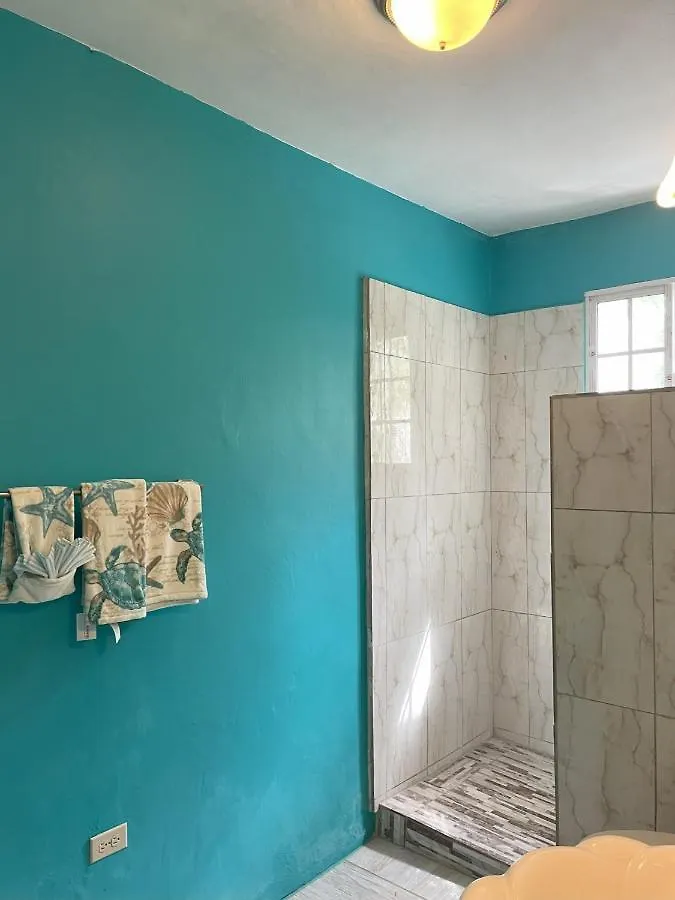 Yanceylargo Estate - Newly Renovated 7Br Beautiful Two-Story W Gorgeous Mountain View Villa Montego Bay 0*,  Jamaica