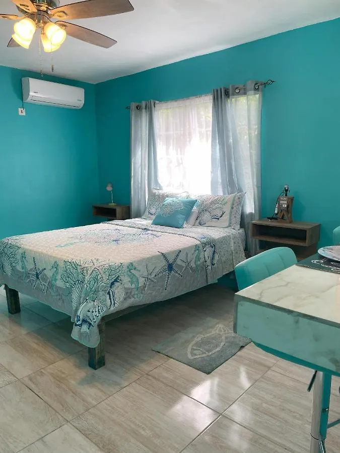 Yanceylargo Estate - Newly Renovated 7Br Beautiful Two-Story W Gorgeous Mountain View Villa Montego Bay