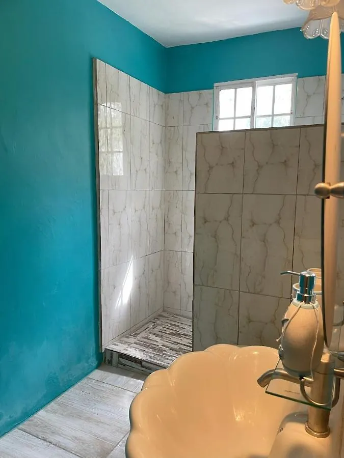 Yanceylargo Estate - Newly Renovated 7Br Beautiful Two-Story W Gorgeous Mountain View Villa Montego Bay