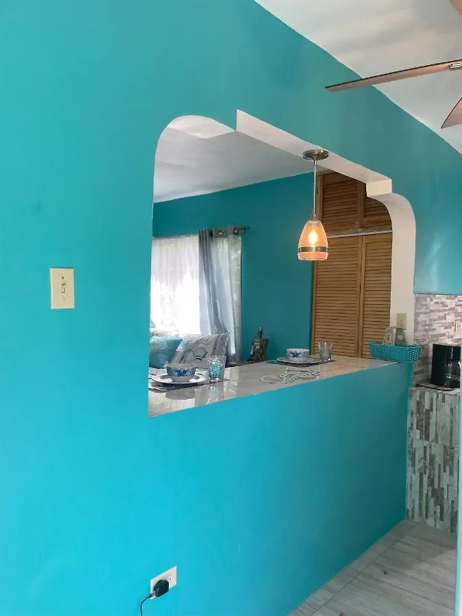 Yanceylargo Estate - Newly Renovated 7Br Beautiful Two-Story W Gorgeous Mountain View Villa Montego Bay