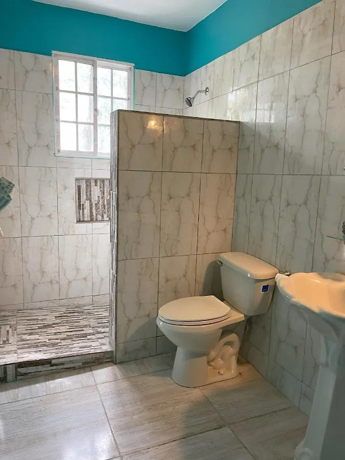 Yanceylargo Estate - Newly Renovated 7Br Beautiful Two-Story W Gorgeous Mountain View Villa Montego Bay