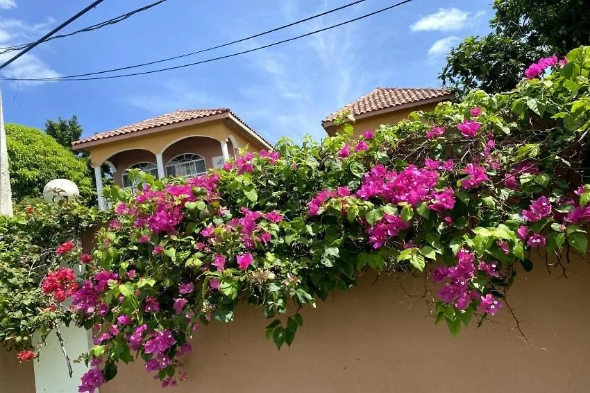Yanceylargo Estate - Newly Renovated 7Br Beautiful Two-Story W Gorgeous Mountain View Villa Montego Bay 0*,