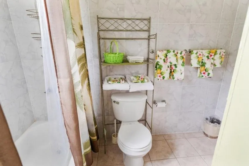 Yanceylargo Estate - Newly Renovated 7Br Beautiful Two-Story W Gorgeous Mountain View Villa Montego Bay