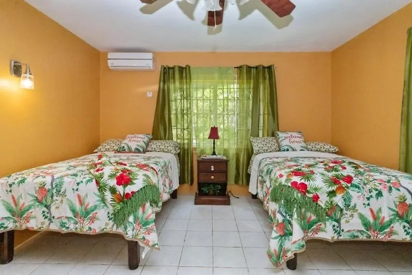 Yanceylargo Estate - Newly Renovated 7Br Beautiful Two-Story W Gorgeous Mountain View Villa Montego Bay